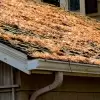 Gutter cleaning in Newton MA